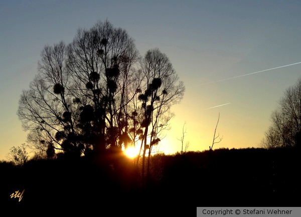December Sun Set