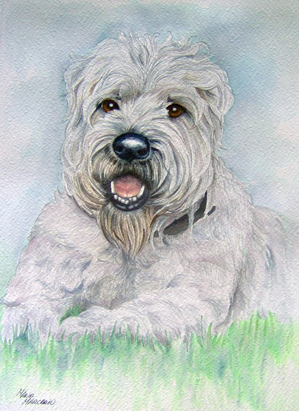 Portrait of Willy