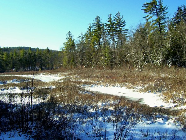 more of New Hampshire 