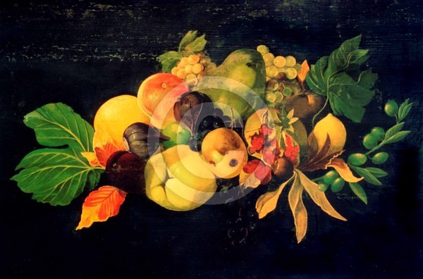 Fruit