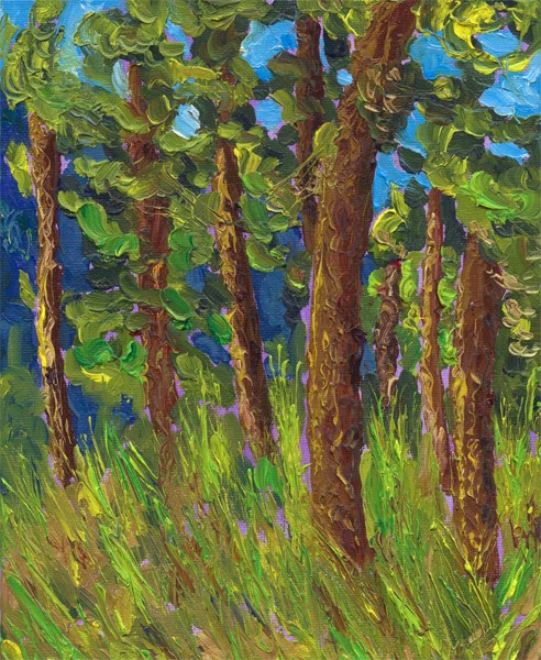 Trees Gun Lake