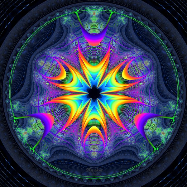 Lifecircle Bloom