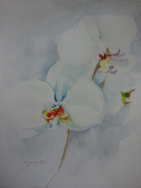 orchidpaint