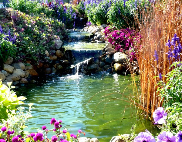 The Water Garden