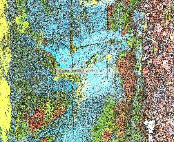 scenic moss