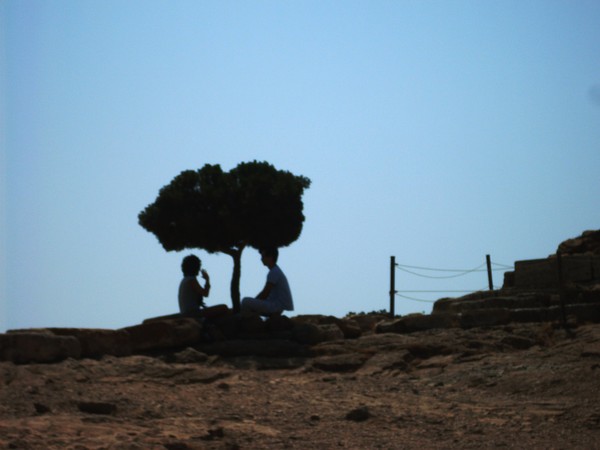 From the same roots...