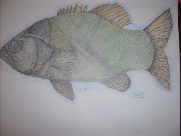 bass