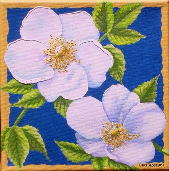 Wild Roses