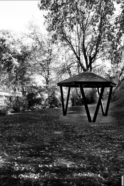 Commons Park