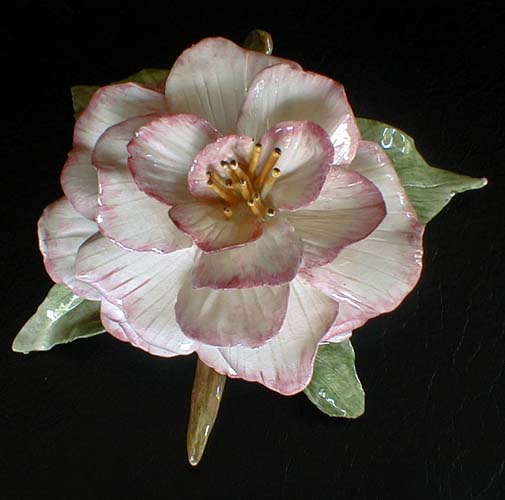 camellia