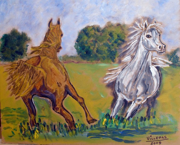 Wild horses