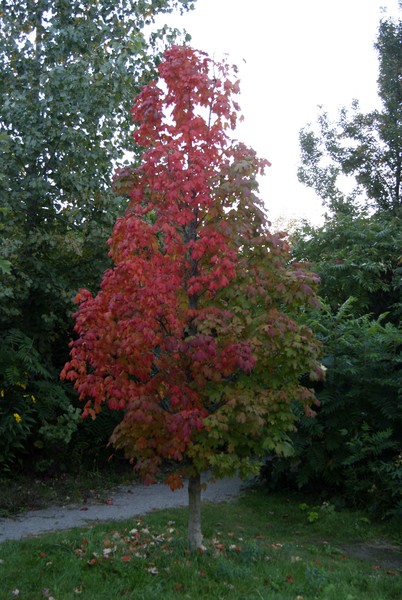 The Colours Are Starting