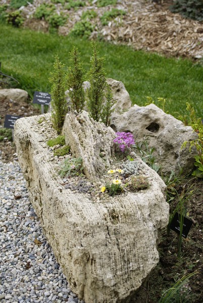 Rock Garden