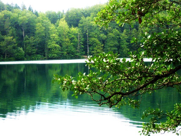 When blue turns into green...