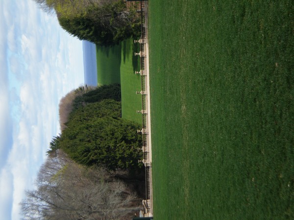 lawn