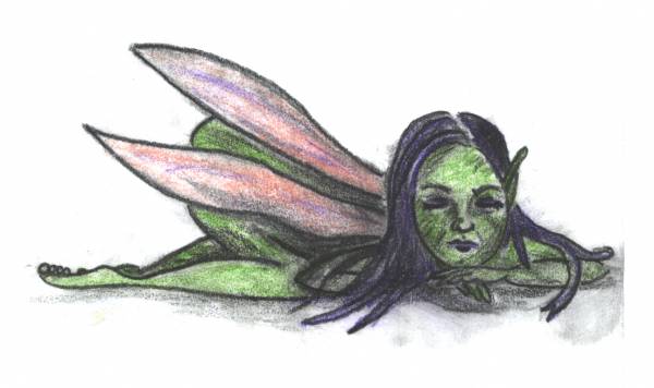 Fairy