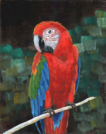 Parrot