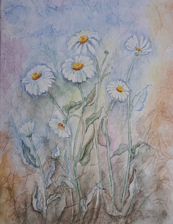 Daisies