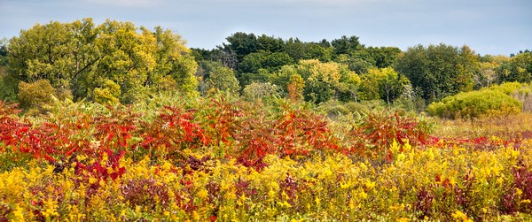 Fall Layers