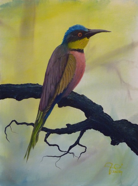 Bee Eater 01