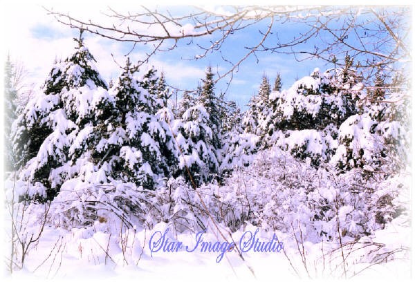 THE BIG SNOWSTORM