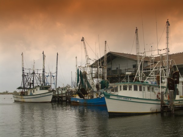 Shrimp Boats Finished for the Day
