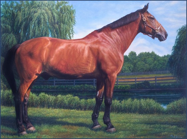 bohler-horse