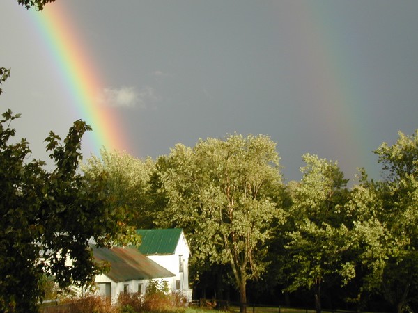 Art of Nature
