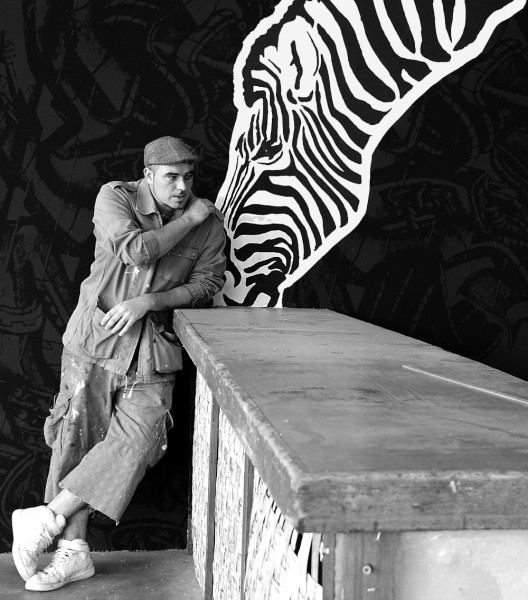 GRbwpgraff ds -Zebra 2