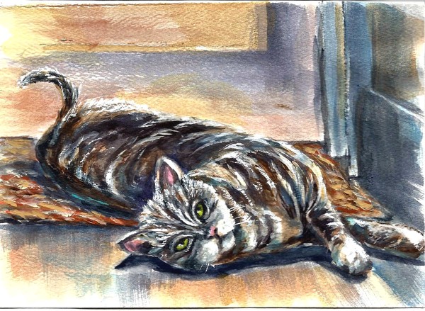 Cat