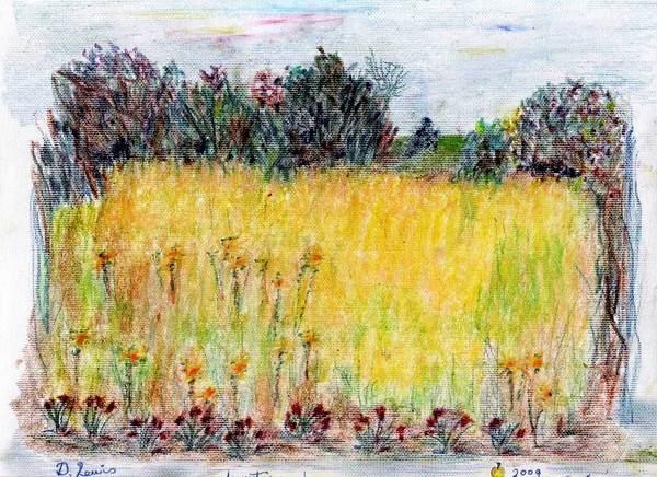water meadow