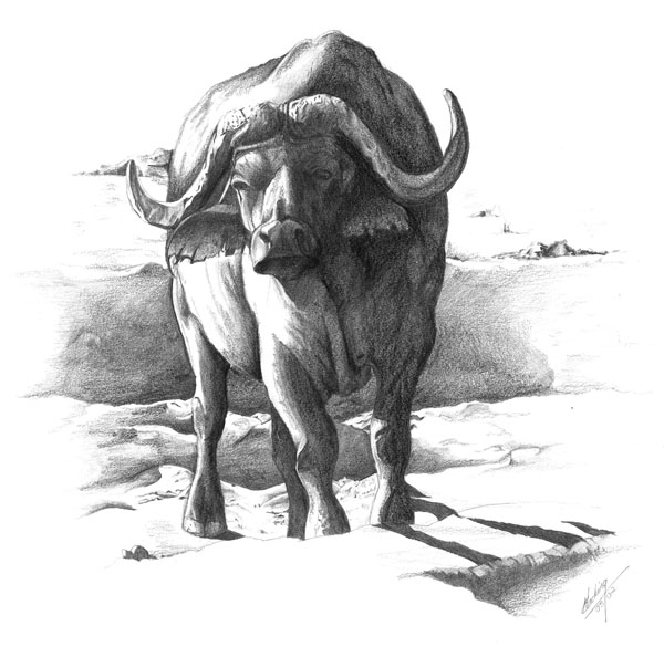 Baba Makuru (Old Man)