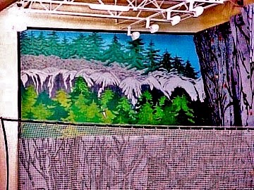 closeup rock wall 2000' (2) - Copy