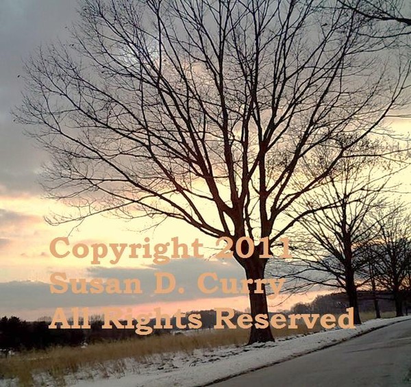 Winter Sky