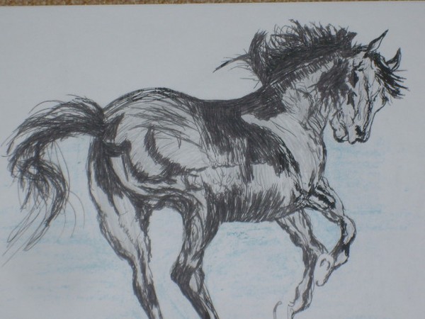 the frisky horse