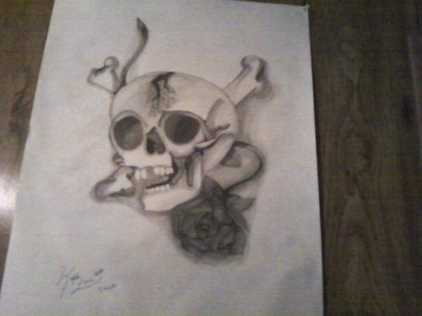 Rose and a Skull