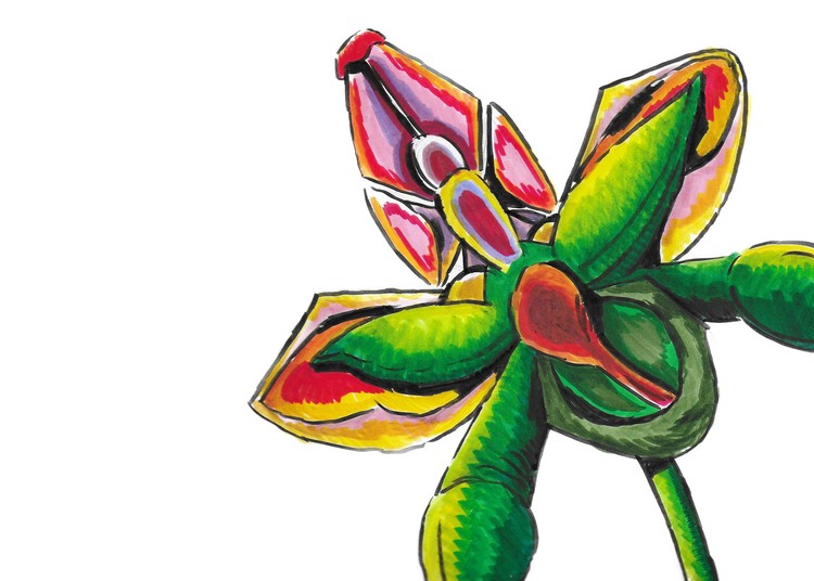 Orchid-I