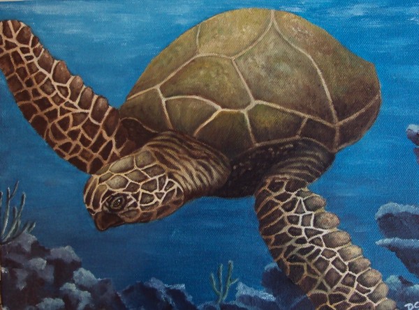sea turtle SOLD