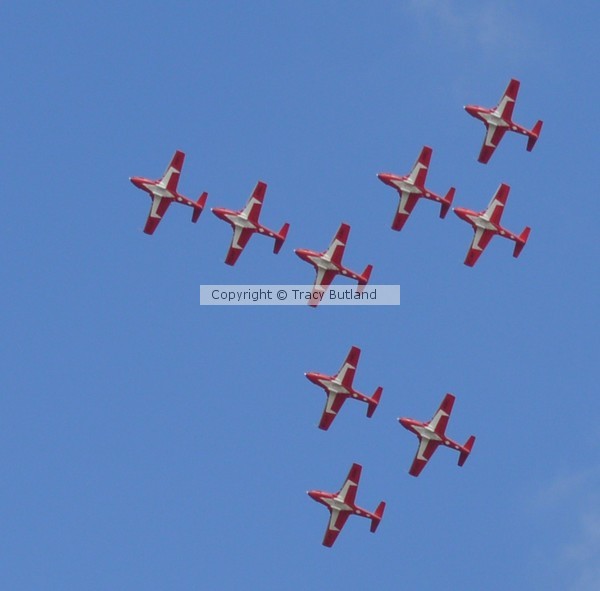 snowbirds II