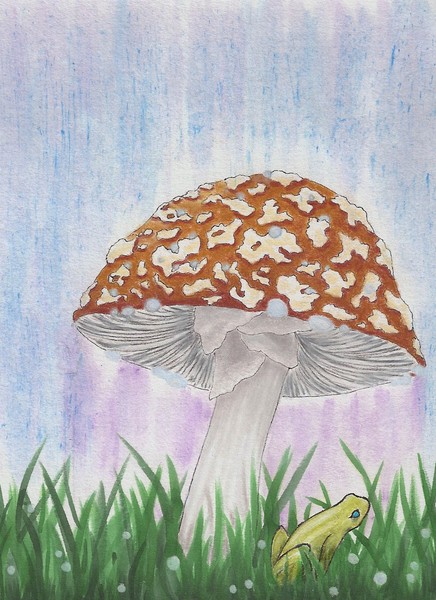 Umbrella