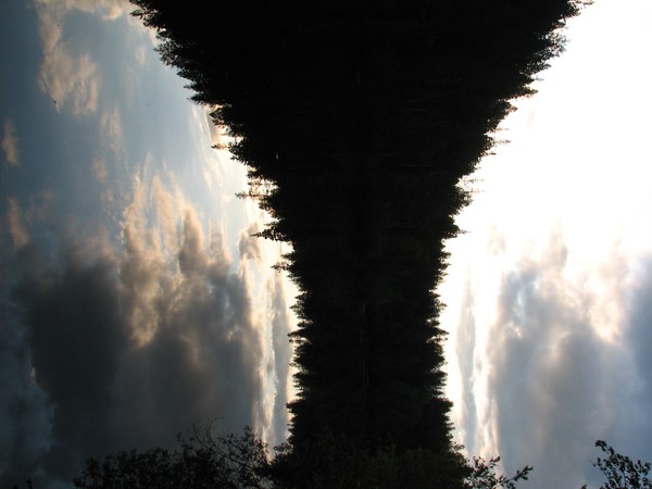 reflections