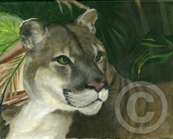 osceola