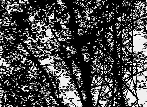 DSCF4034