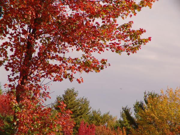 October Feeling