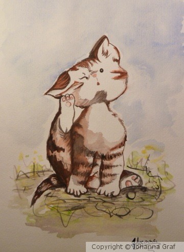 cat