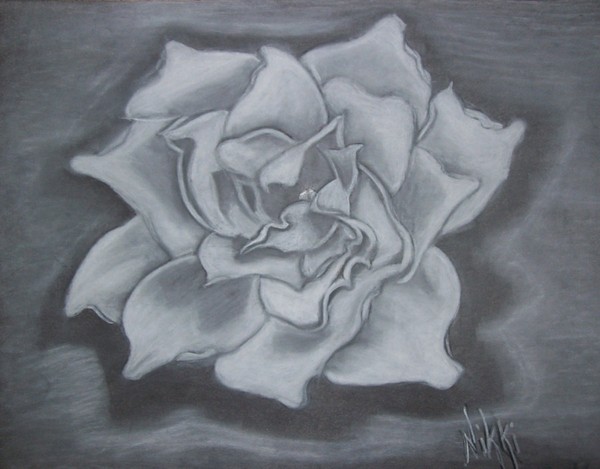 Gardenia