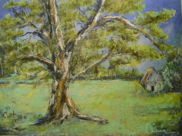 magestic tree sold!