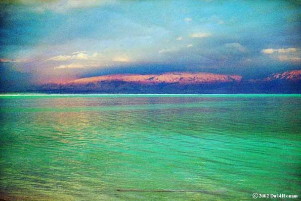 The Dead Sea is Alive - 1