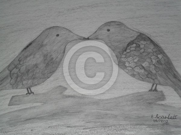 Love Birds