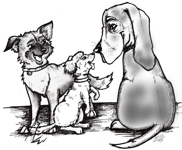 Three Dogs